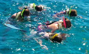 destin florida snorkeling